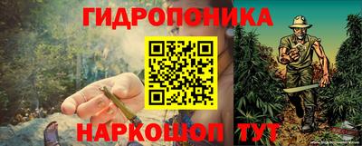 шишки Севастополь
